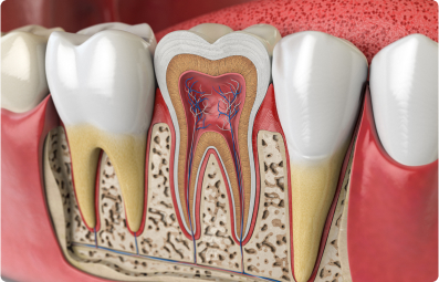 Удовлетворительное состояние корня зуба